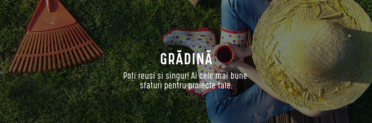 Video si pedagogie